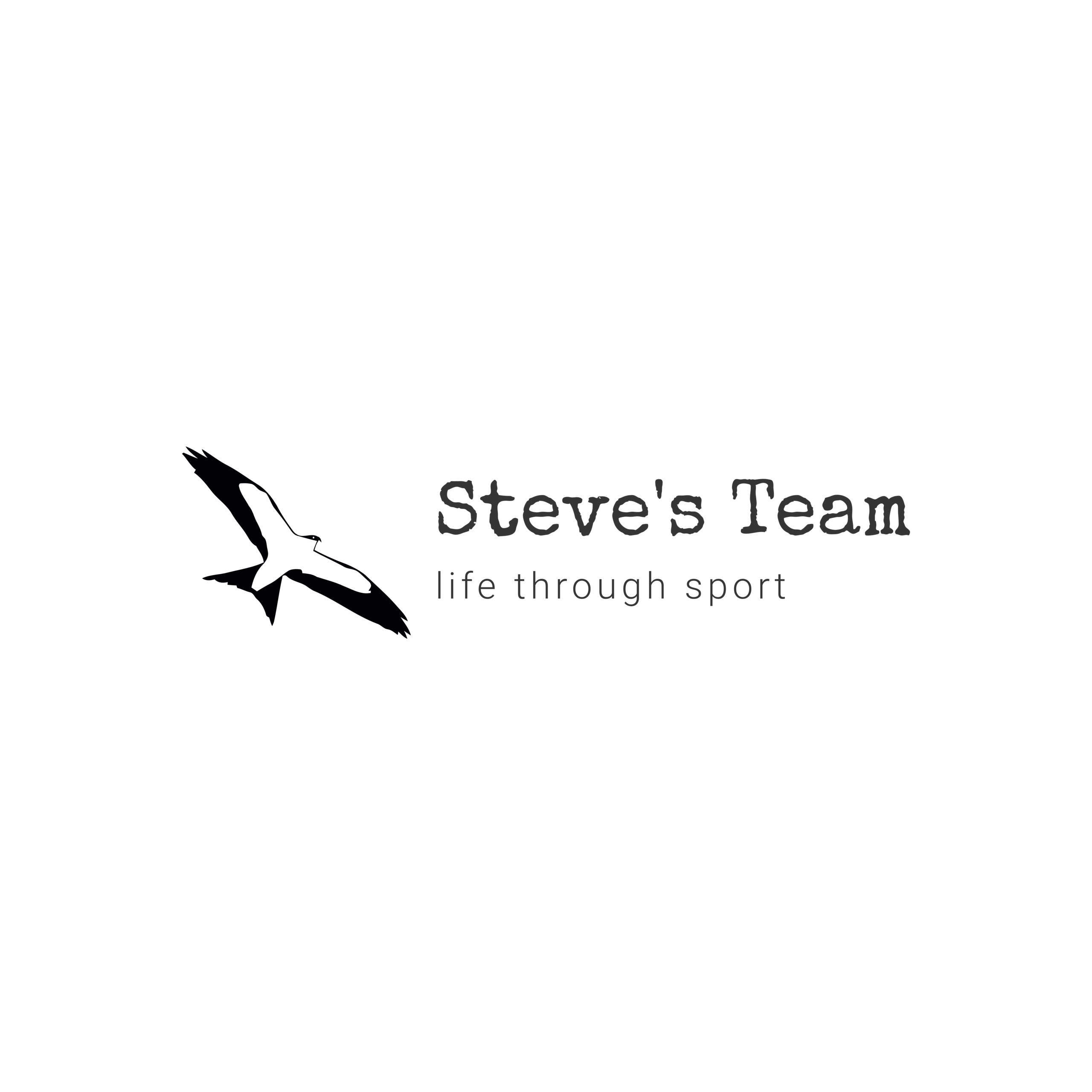 Steves team
